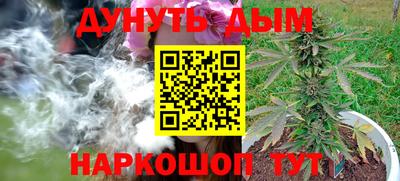 сатива Обнинск