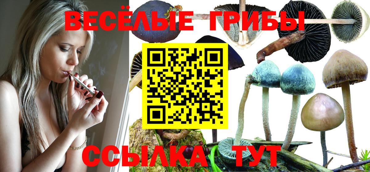 Галлюциногенные грибы мухоморы Спасск-Дальний