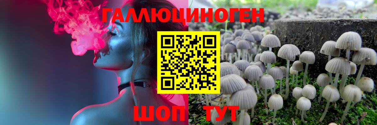 Псилоцибиновые грибы Psilocybe  Галлюциногенные грибы мухоморы  Спасск-Дальний  Вход с VPN 